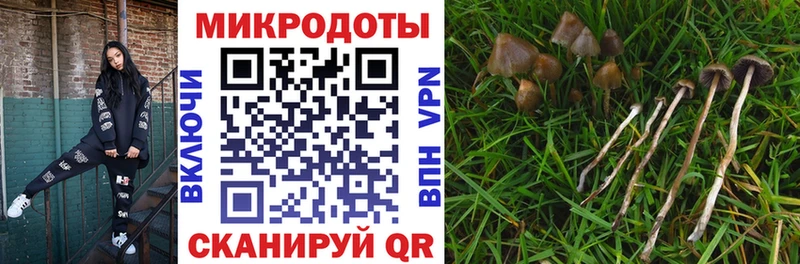 Псилоцибиновые грибы Magic Shrooms  Сертолово 